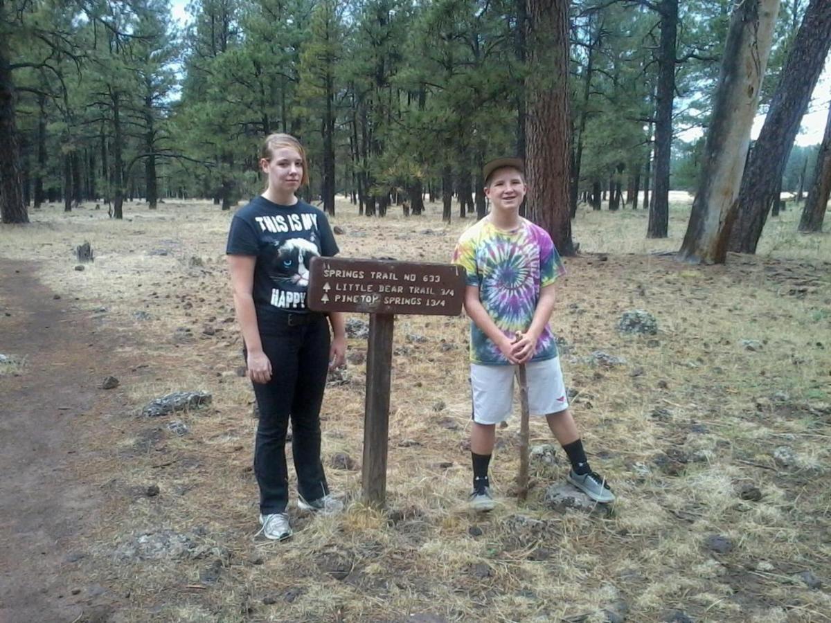 Adair Springs Cabin Pinetop-Lakeside Kültér fotó