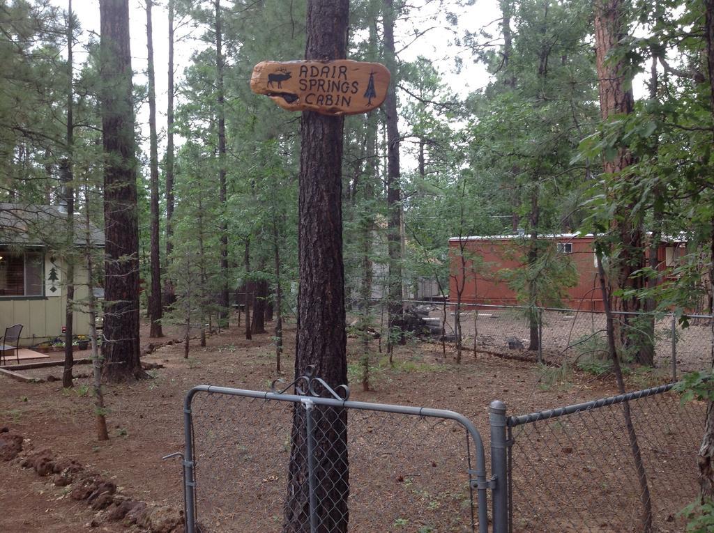 Adair Springs Cabin Pinetop-Lakeside Kültér fotó