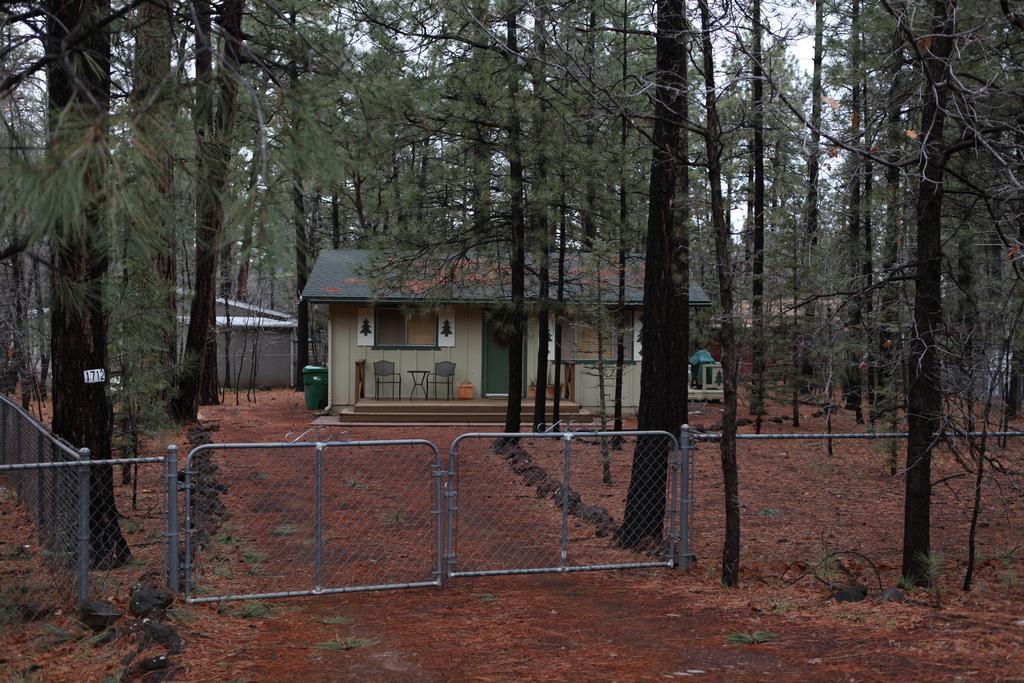 Adair Springs Cabin Pinetop-Lakeside Kültér fotó