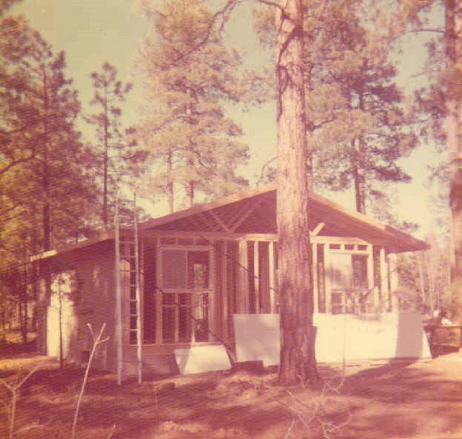 Adair Springs Cabin Pinetop-Lakeside Kültér fotó