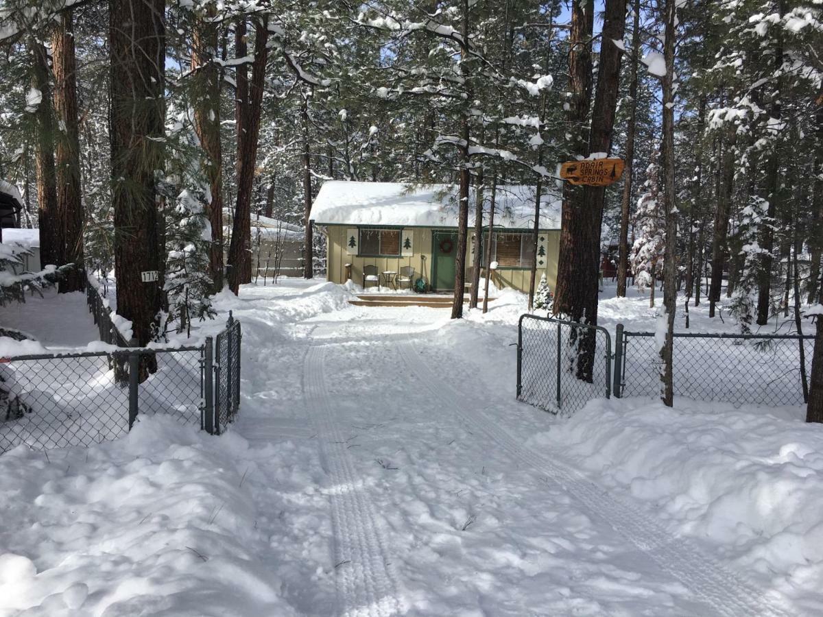 Adair Springs Cabin Pinetop-Lakeside Kültér fotó